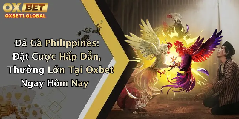 Đá Gà Philippines: Đặt Cược Hấp Dẫn, Thưởng Lớn Tại Oxbet Ngay Hôm Nay